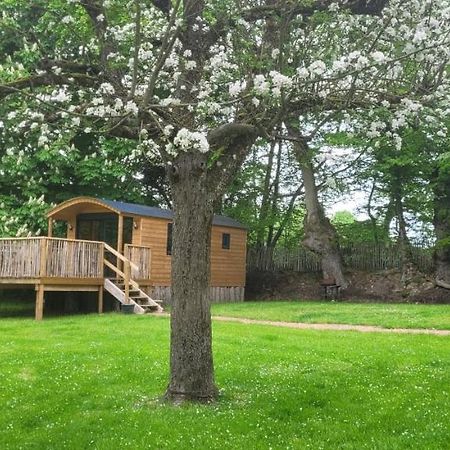 Roulotte Escapade Nature A Morainville - Normandie Exterior photo